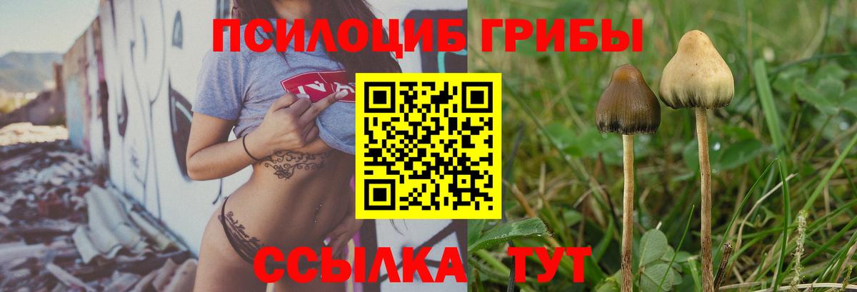 Елабуга  Галлюциногенные грибы мицелий  Псилоцибиновые грибы GOLDEN TEACHER  Вход с VPN 