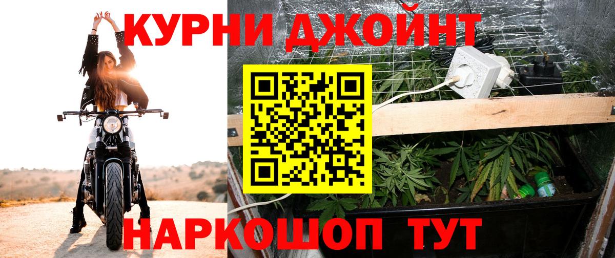 Бошки марихуана сатива  Канабис OG Kush  Вход с VPN  Елабуга 